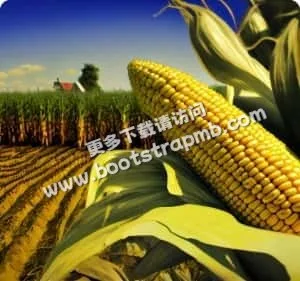 聚焦全球焦点，追踪每支球队 - 世界杯